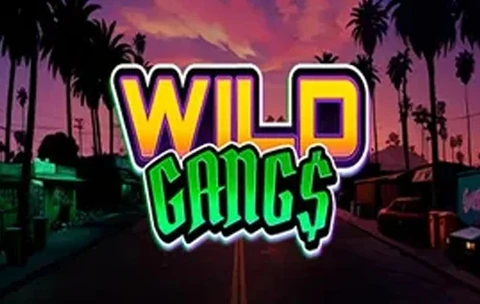 Wild Gangs